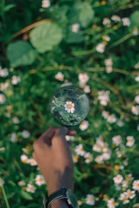 7 Questions to Ask Yourself to Multiply Your Focus - ekatrahandmade.com