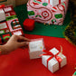 The Santa Surprise Box