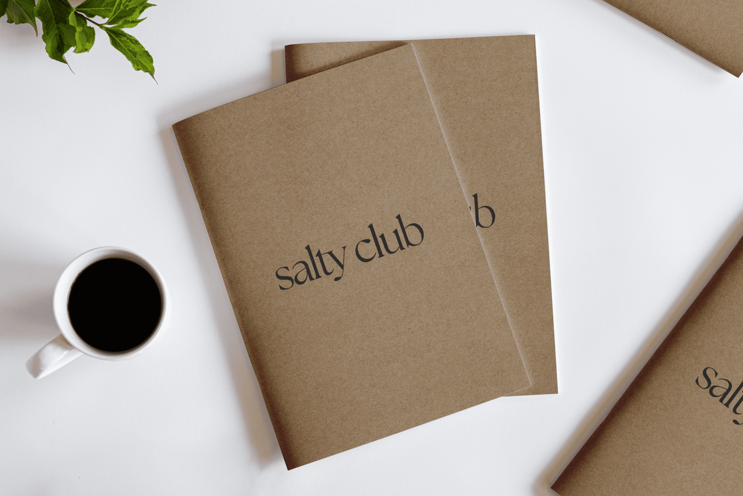 The Bare Book Salty club